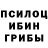 Псилоцибиновые грибы мухоморы Jenavie Mosqueda