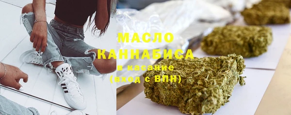 хмурый Арсеньев
