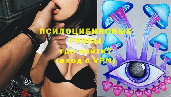 хмурый Арсеньев