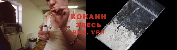 хмурый Арсеньев