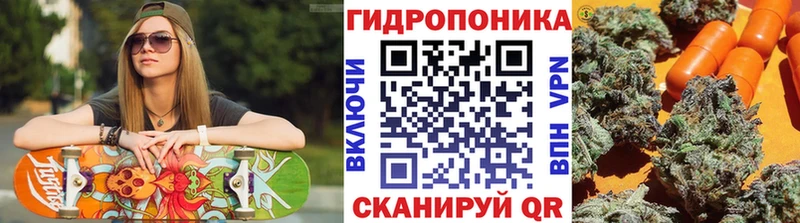 купить наркотик  Сольвычегодск  Канабис ГИДРОПОН 